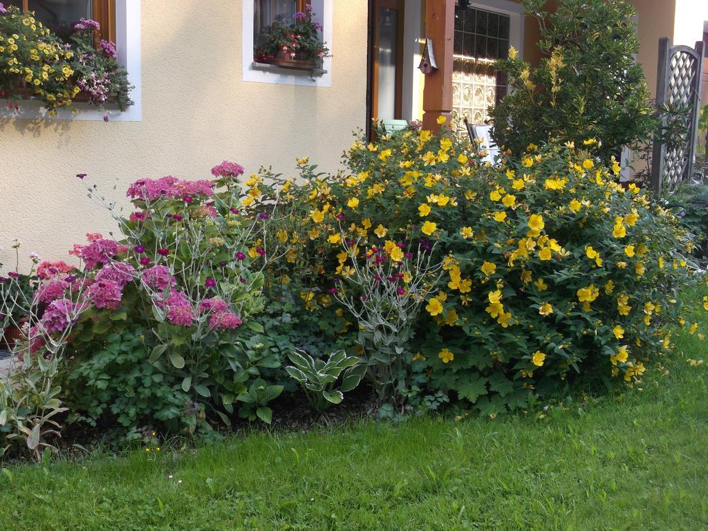 Haus Margit Apartment Schlierbach Exterior photo